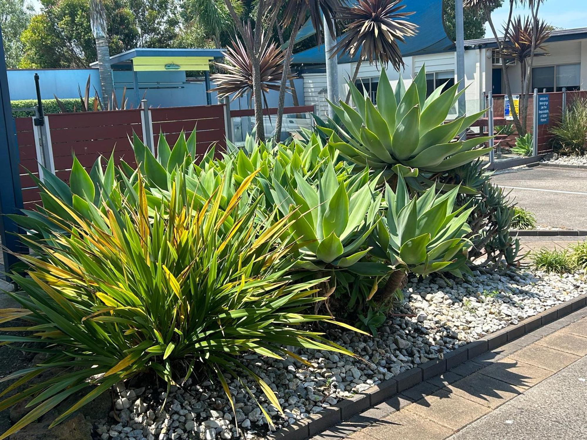 Portarlington Beach Motel Ngoại thất bức ảnh